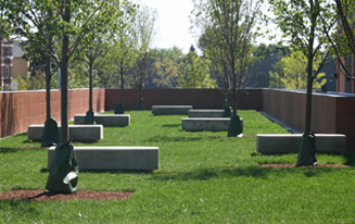 JRA_Back of the Yards HS_Reading Garden